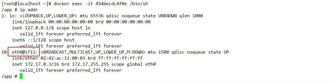 image-20250126163146075